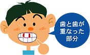 画像の説明 画像の説明