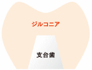 画像の説明 画像の説明